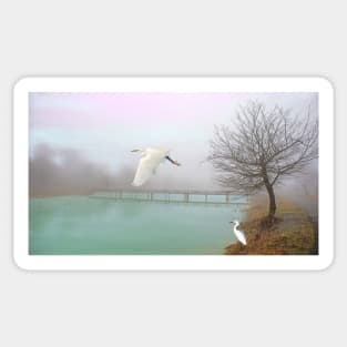 Snowy Egrets at the Bridge Sticker